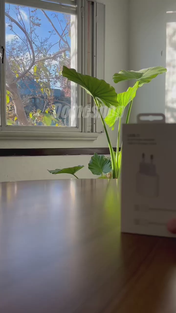 PACK - CARGADOR DE CARGA RÁPIDA 35W USB TIPO C CON CABLE + Auriculares USB-C In-ear Motomo Blanco Con Micrófono Tipo Earpod